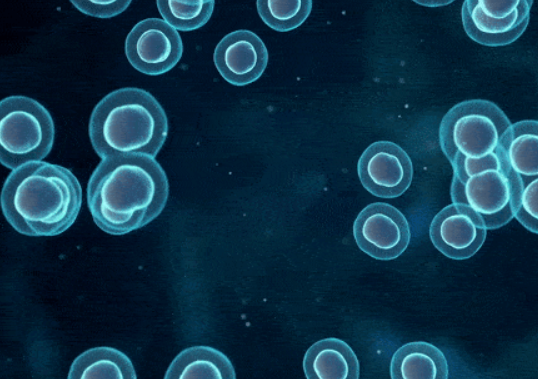 Infection Prevention Research